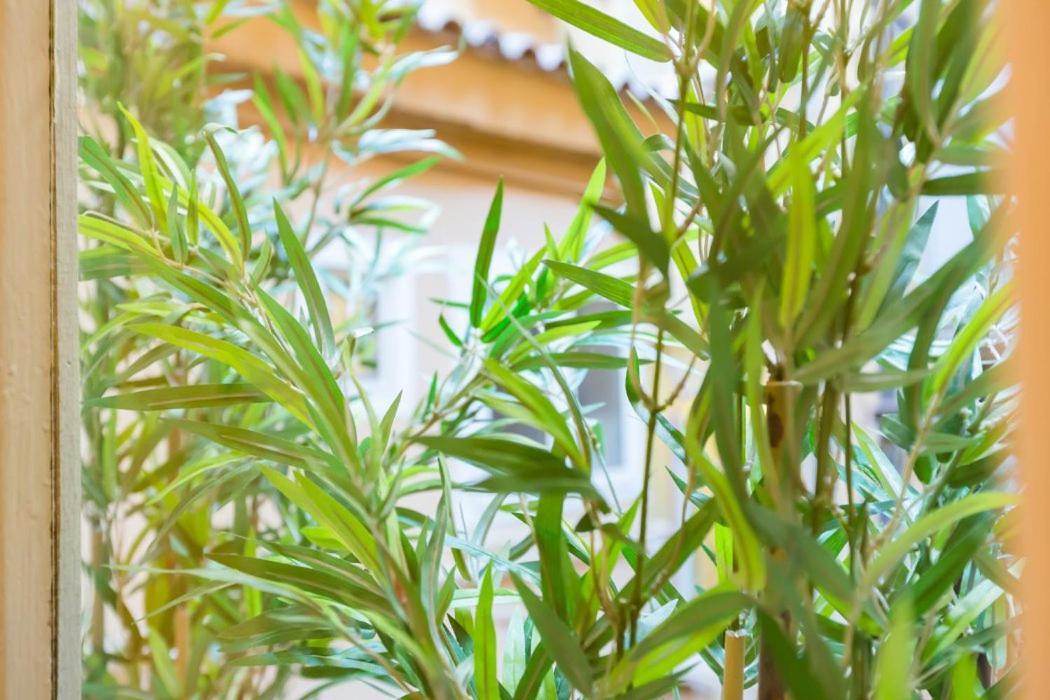 Spanish Step Nest Luxury Rzym Zewnętrze zdjęcie
